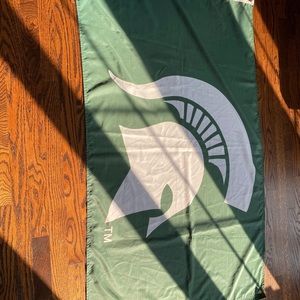 MSU Spartans flag